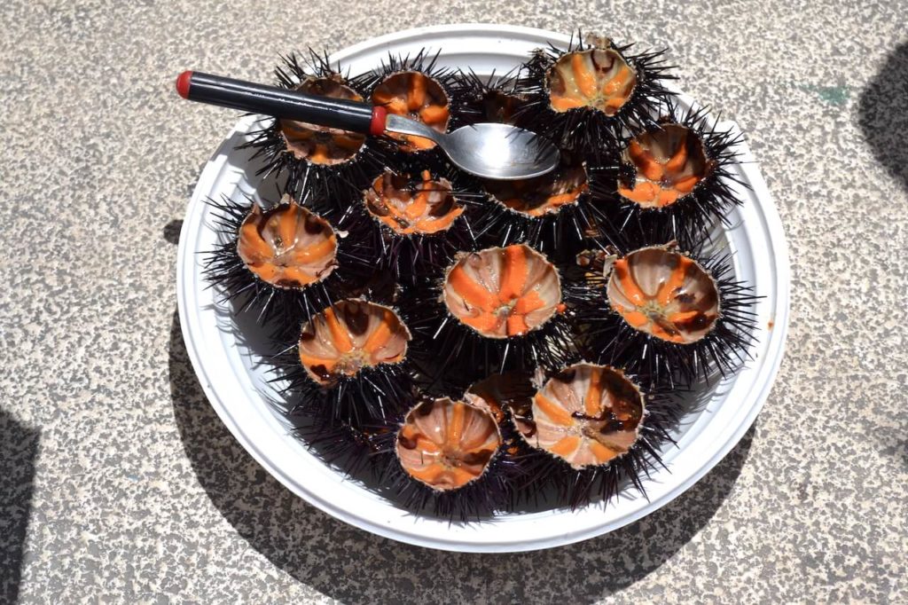 Ricci of zee-egels eten in de haven van Bari in Puglia