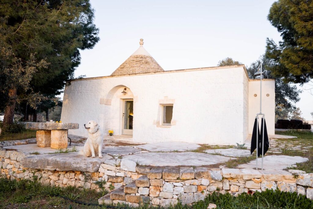 Hond bij een trullo in Puglia